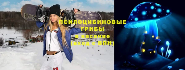 гидра Алексеевка