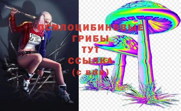 мет Алексин