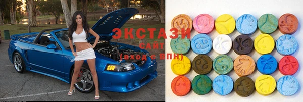 мет Алексин