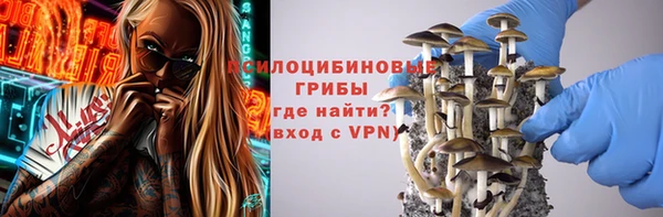 гидра Алексеевка