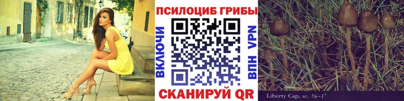 Псилоцибиновые грибы мухоморы  Уржум 
